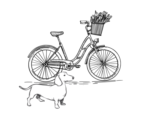 Lucy's Tearoom _ _Bike and dog
