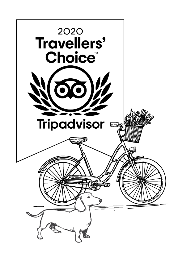 TripAdvisor_Border_Centred_Bike and dog